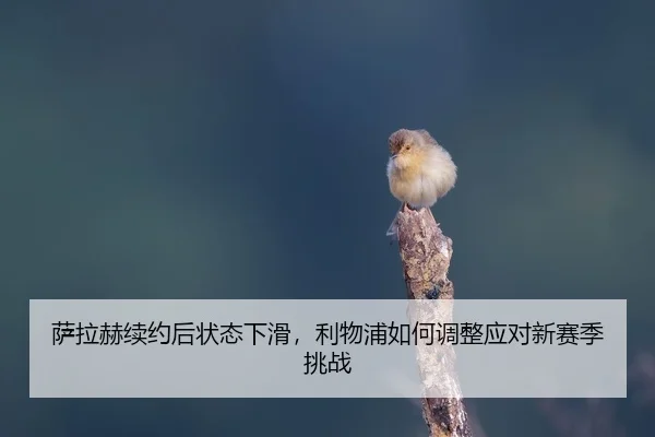 sa-la-he-xu-yue-hou-zhuang-tai-xia-hua-li-wu-pu-ru-he-tiao-zheng-ying-dui-xin-sai-ji-tiao-zhan-2-305.jpg