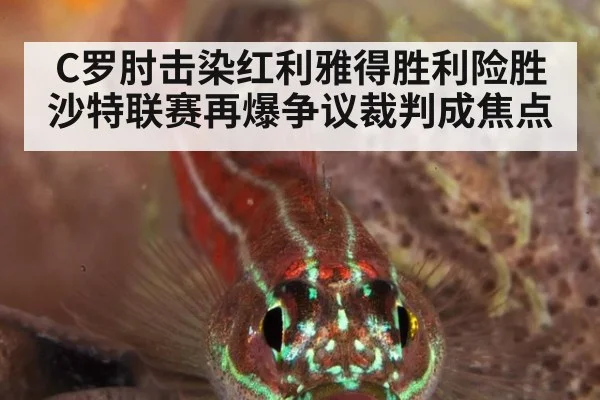 C罗肘击染红利雅得胜利险胜 沙特联赛再爆争议裁判成焦点